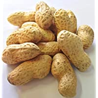 Los mejores  - Faunamix Cacahuetes con cáscara crudos (10 kg)